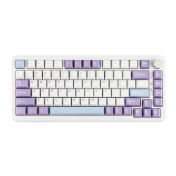 AJAZZ AK820 Max HE 75% Gasket-mounted Mechanical Keyboard With Magnetic Switch White Purple