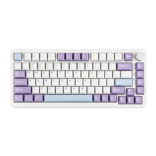 AJAZZ AK820 Max HE 75% Gasket-mounted Mechanical Keyboard With Magnetic Switch White Purple