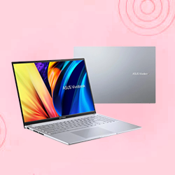 Business Laptop