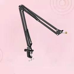 Stand Microphones
