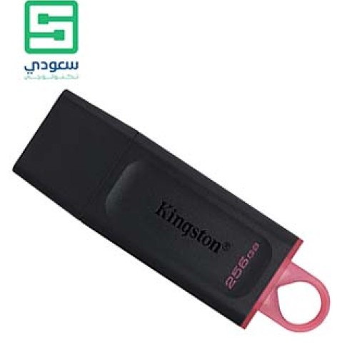 Kingston DataTraveler Exodia 256GB USB 3.2 Flash Drive DTX/256GB