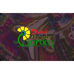 Dubai Miracle Garden