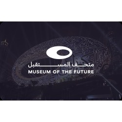 Museum Of The Future
