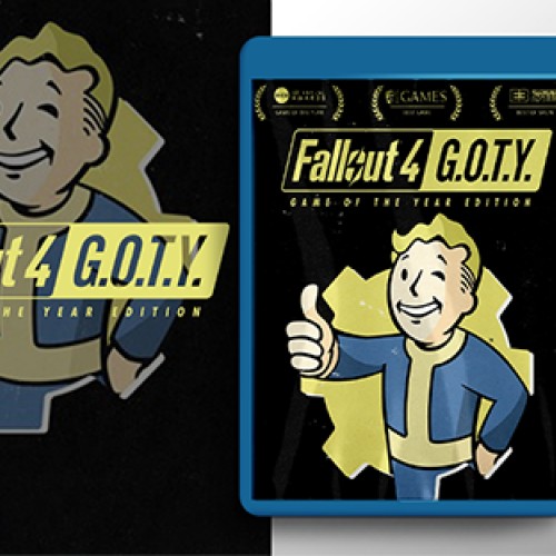 Fallout 4 : Game Of The Year -Turkey