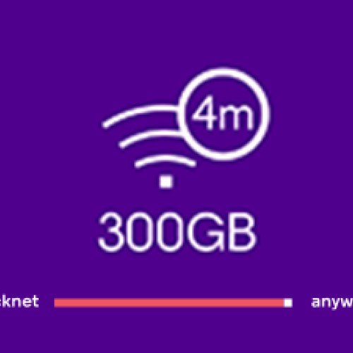 QuickNet 300GB 4M