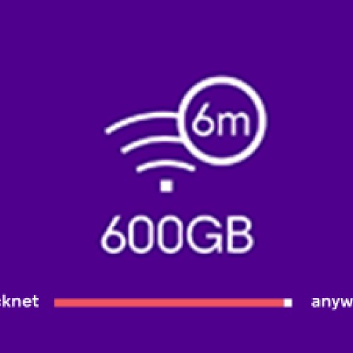 QuickNet 600GB 6M 