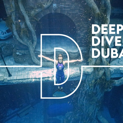 Deep Dive Dubai - Discover Snorkeling  - 1 Hour
