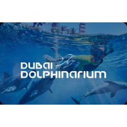 Swimming with Dolphin: Deep Water 20 Mins 