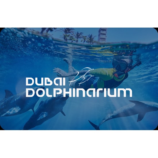 Swimming with Dolphin:Shallow Water 20 mins