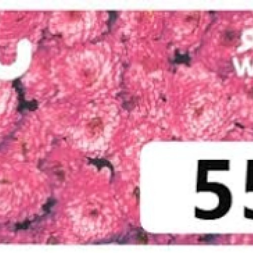 Du Prepaid Card 55 AED - UAE