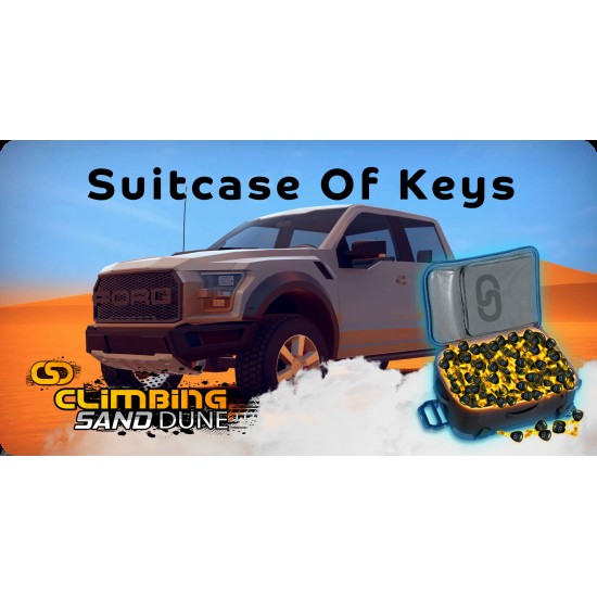 Suitcase of Keys - 1000 Keys
