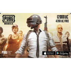 Pubg $200 (12000+Free4200UC)