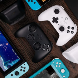 Nintendo Switch Controllers