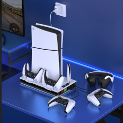 Playstation Accessories